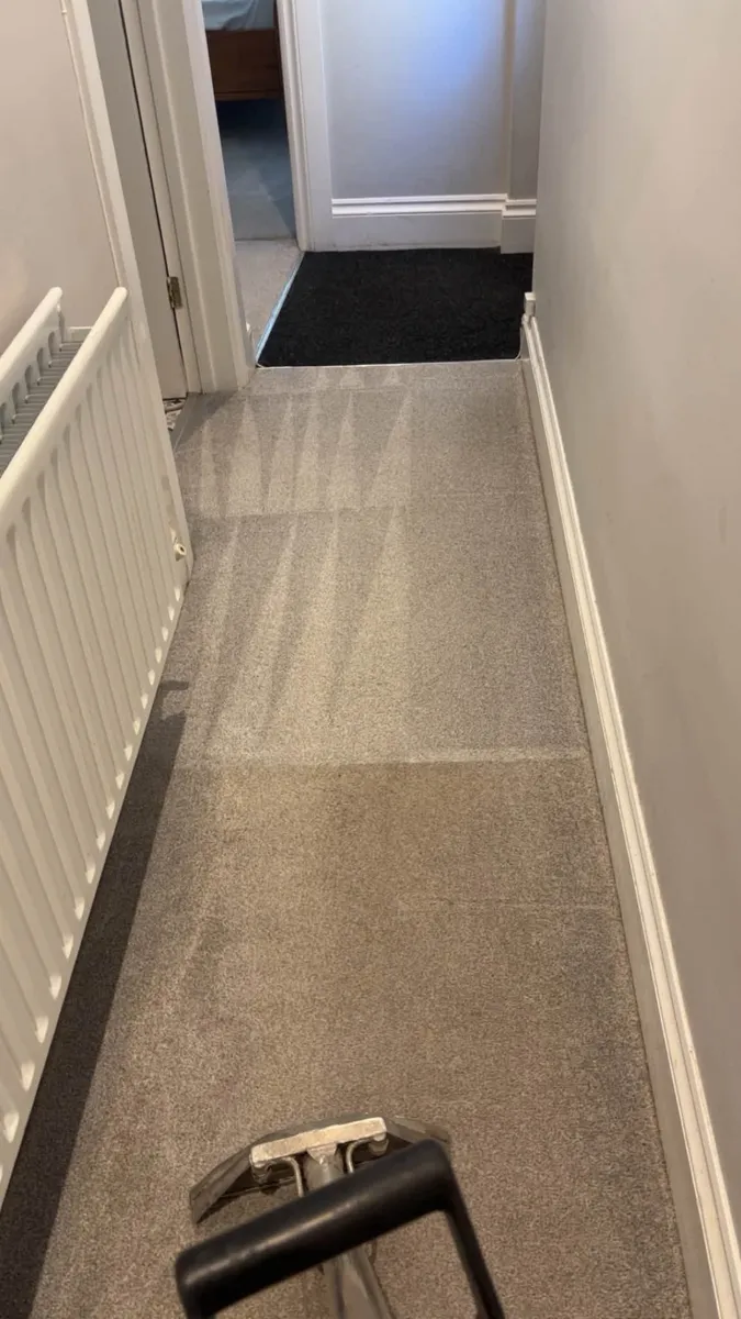 Hallway carpet with cleaned section bright and untouched section still grey