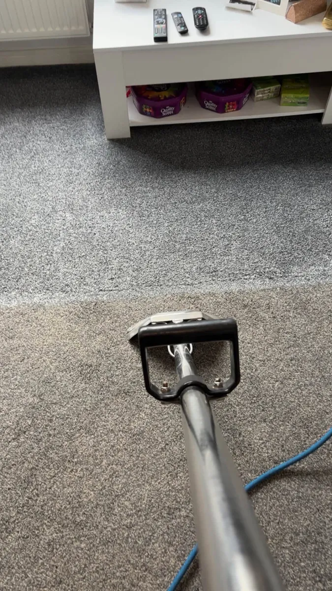 Living room carpet mid clean showing the line between cleaned and soiled carpet