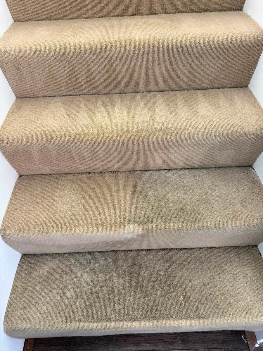 Staircase carpet mid clean, cleaned steps above and soiled steps below